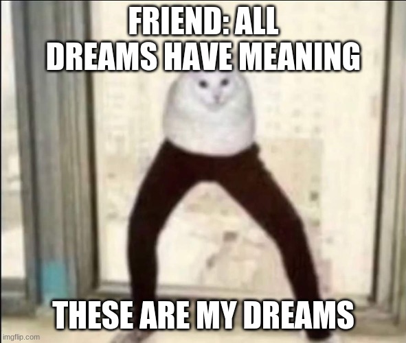 Cursed cat | FRIEND: ALL DREAMS HAVE MEANING; THESE ARE MY DREAMS | image tagged in cats | made w/ Imgflip meme maker