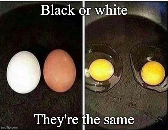 Racism | Black or white; They're the same | image tagged in funny memes | made w/ Imgflip meme maker