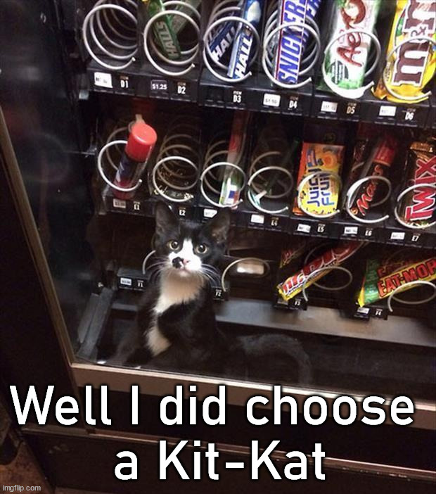 Break me off a piece of that .... never mind. |  Well I did choose 
a Kit-Kat | image tagged in cats,candy bar,vending machine,i see what you did there,memes | made w/ Imgflip meme maker