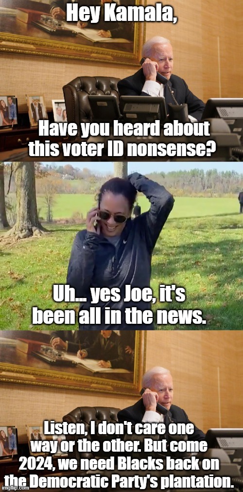 Runaway slaves are not good for business | Hey Kamala, Have you heard about this voter ID nonsense? Uh... yes Joe, it's been all in the news. Listen, I don't care one way or the other. But come 2024, we need Blacks back on the Democratic Party's plantation. | image tagged in biden with harris phone call,political humor,joe biden,kamala harris | made w/ Imgflip meme maker
