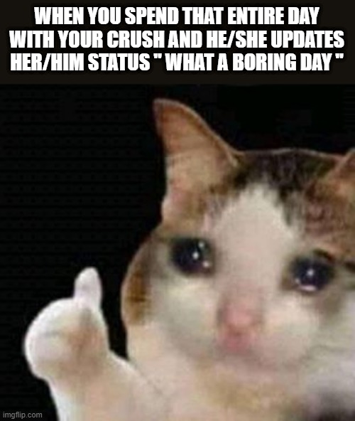 sad thumbs up cat | WHEN YOU SPEND THAT ENTIRE DAY WITH YOUR CRUSH AND HE/SHE UPDATES HER/HIM STATUS " WHAT A BORING DAY " | image tagged in sad thumbs up cat | made w/ Imgflip meme maker