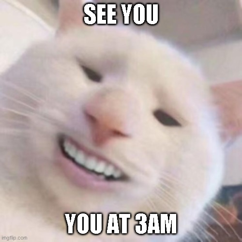 He comin | SEE YOU; YOU AT 3AM | image tagged in funny meme,cats,cat,scary,funny,memes | made w/ Imgflip meme maker