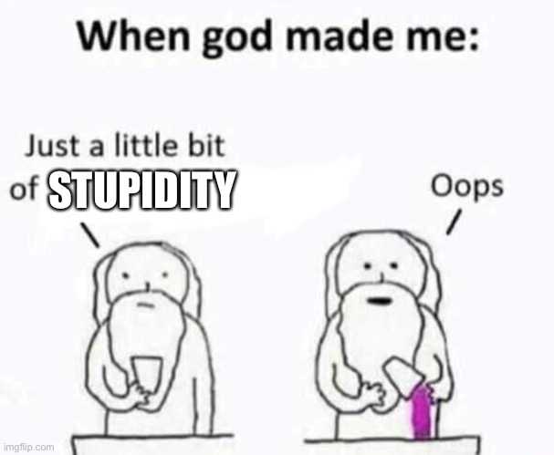 When god made me | STUPIDITY | image tagged in when god made me | made w/ Imgflip meme maker