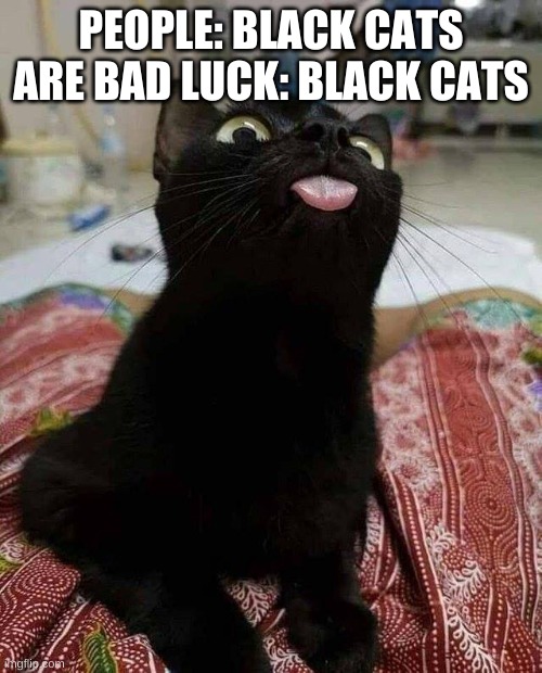 BLACK CAT TONGUE | PEOPLE: BLACK CATS ARE BAD LUCK: BLACK CATS | image tagged in black cat tongue | made w/ Imgflip meme maker