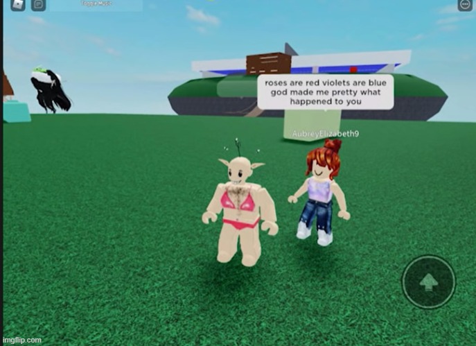 Ugly | image tagged in roblox,fun,memes | made w/ Imgflip meme maker