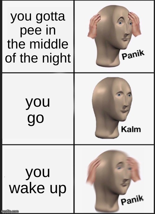 pp time | you gotta pee in the middle of the night; you go; you wake up | image tagged in memes,panik kalm panik | made w/ Imgflip meme maker