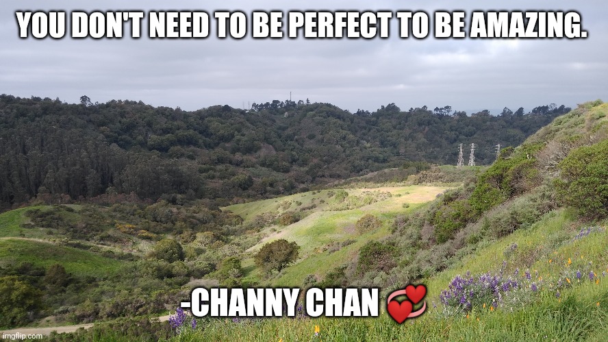 Perfection | YOU DON'T NEED TO BE PERFECT TO BE AMAZING. -CHANNY CHAN 💞 | image tagged in perfection | made w/ Imgflip meme maker