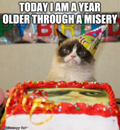 Grumpy Cat Birthday | TODAY I AM A YEAR OLDER THROUGH A MISERY | image tagged in memes,grumpy cat birthday,grumpy cat | made w/ Imgflip meme maker
