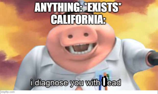 Rip | ANYTHING: *EXISTS* 
CALIFORNIA: | image tagged in i diagnose you with dead | made w/ Imgflip meme maker