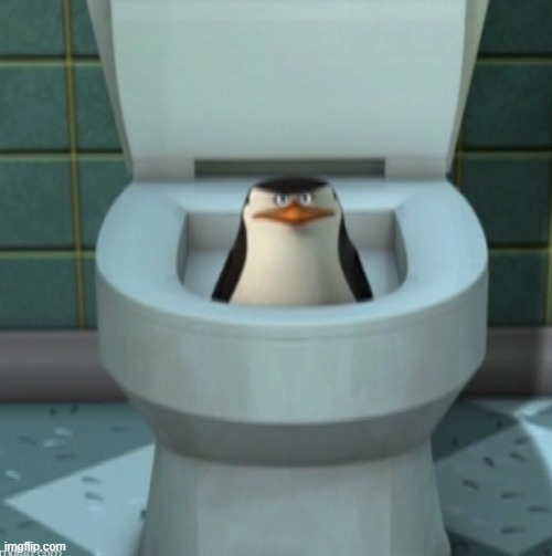 skipper and the toilet | image tagged in skipper and the toilet | made w/ Imgflip meme maker