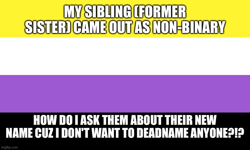 What do I do?!? | MY SIBLING (FORMER SISTER) CAME OUT AS NON-BINARY; HOW DO I ASK THEM ABOUT THEIR NEW NAME CUZ I DON'T WANT TO DEADNAME ANYONE?!? | image tagged in nonbinary | made w/ Imgflip meme maker