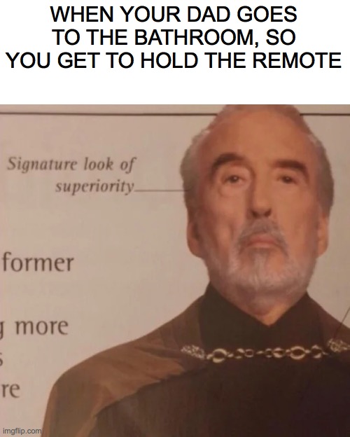 Nothing is more powerful than this feeling | WHEN YOUR DAD GOES TO THE BATHROOM, SO YOU GET TO HOLD THE REMOTE | image tagged in signature look of superiority | made w/ Imgflip meme maker