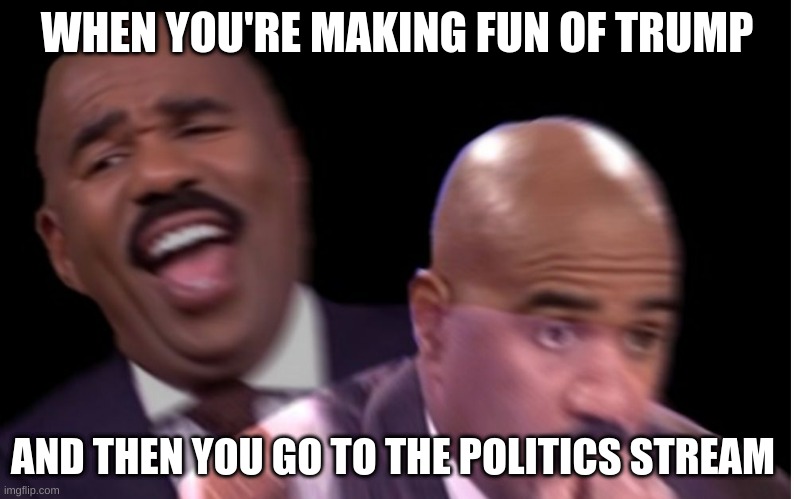 Conflicted Steve Harvey | WHEN YOU'RE MAKING FUN OF TRUMP; AND THEN YOU GO TO THE POLITICS STREAM | image tagged in conflicted steve harvey | made w/ Imgflip meme maker