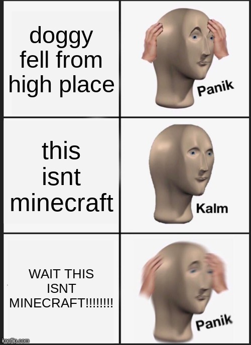 doggy dies | doggy fell from high place; this isnt minecraft; WAIT THIS ISNT MINECRAFT!!!!!!!! | image tagged in memes,panik kalm panik | made w/ Imgflip meme maker