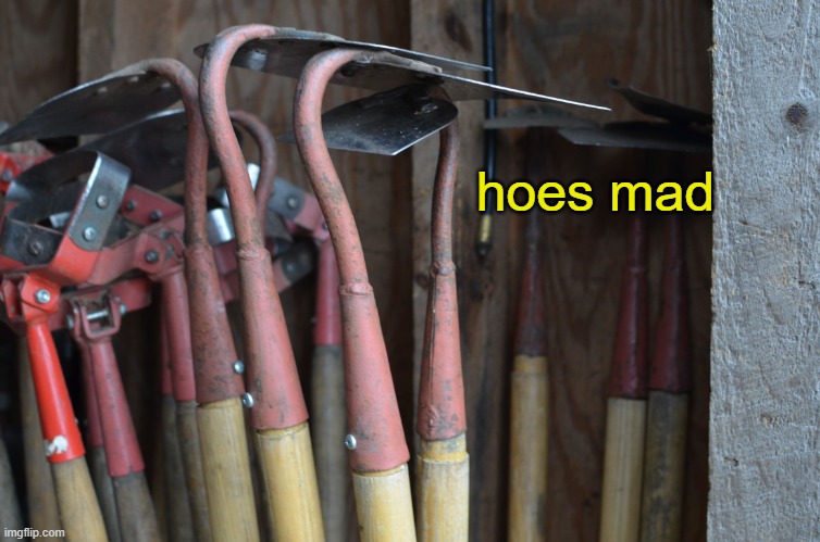 Hoes | hoes mad | image tagged in hoes | made w/ Imgflip meme maker
