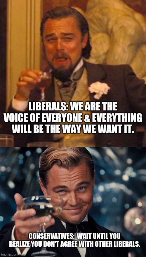 Can't wait to see this one play out | LIBERALS: WE ARE THE VOICE OF EVERYONE & EVERYTHING WILL BE THE WAY WE WANT IT. CONSERVATIVES:  WAIT UNTIL YOU REALIZE YOU DON'T AGREE WITH OTHER LIBERALS. | image tagged in memes,laughing leo,leo toasting | made w/ Imgflip meme maker