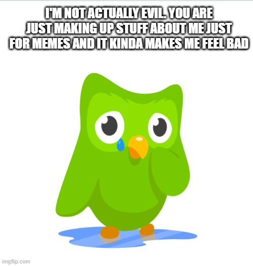 Listen to me pls | I'M NOT ACTUALLY EVIL. YOU ARE JUST MAKING UP STUFF ABOUT ME JUST FOR MEMES AND IT KINDA MAKES ME FEEL BAD | image tagged in sad duolingo bird,memes,duolingo | made w/ Imgflip meme maker