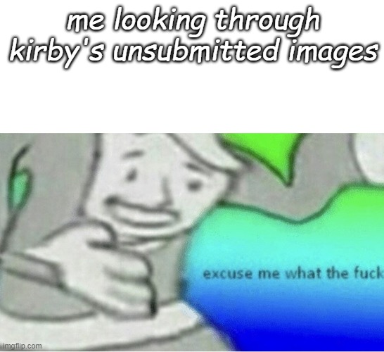 Itskindaturingmeonnglbutthatsnotthepoint | me looking through kirby's unsubmitted images | image tagged in excuse me wtf blank template | made w/ Imgflip meme maker