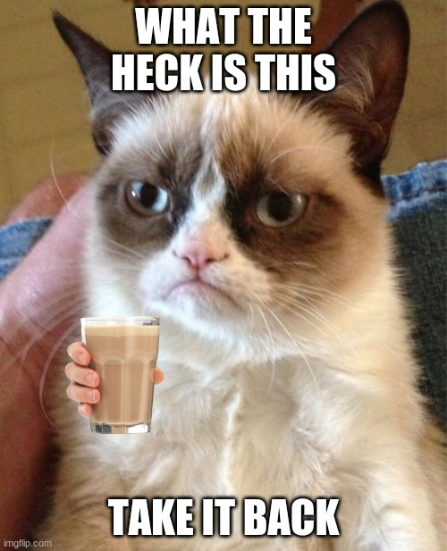 why | WHAT THE HECK IS THIS; TAKE IT BACK | image tagged in memes,grumpy cat | made w/ Imgflip meme maker