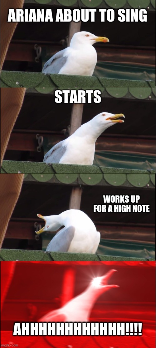 Inhaling Seagull | ARIANA ABOUT TO SING; STARTS; WORKS UP FOR A HIGH NOTE; AHHHHHHHHHHHH!!!! | image tagged in memes,inhaling seagull,ariana grande | made w/ Imgflip meme maker