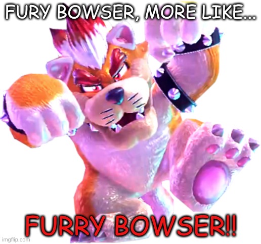 Meowser | FURY BOWSER, MORE LIKE... FURRY BOWSER!! | image tagged in meowser,cat bowser,bowser,3d world,super mario | made w/ Imgflip meme maker
