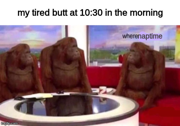 i need sleep | my tired butt at 10:30 in the morning; naptime | image tagged in where banana blank | made w/ Imgflip meme maker