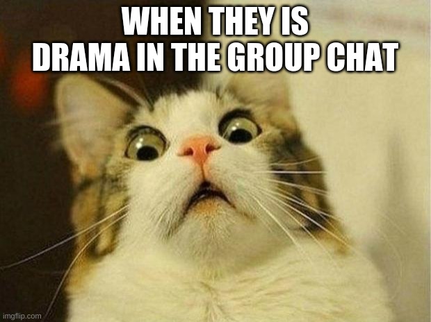 Scared Cat | WHEN THEY IS DRAMA IN THE GROUP CHAT | image tagged in memes,scared cat | made w/ Imgflip meme maker