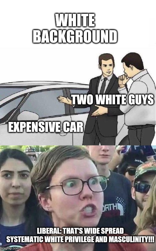 Do we need to cancel culture memes too?  I mean, where do we stop right? | WHITE BACKGROUND; TWO WHITE GUYS; EXPENSIVE CAR; LIBERAL: THAT'S WIDE SPREAD SYSTEMATIC WHITE PRIVILEGE AND MASCULINITY!!! | image tagged in car salesman slaps roof of car,triggered liberal | made w/ Imgflip meme maker