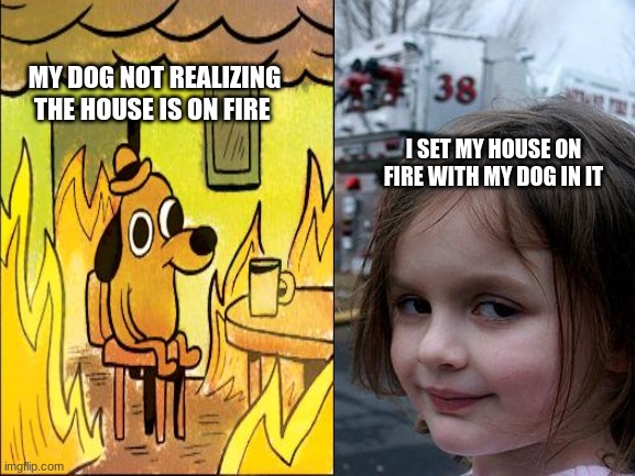MY DOG NOT REALIZING THE HOUSE IS ON FIRE; I SET MY HOUSE ON FIRE WITH MY DOG IN IT | image tagged in crazy | made w/ Imgflip meme maker