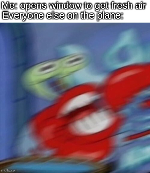 Airplane windows in a nutshell | Me: opens window to get fresh air; Everyone else on the plane: | image tagged in mr crabs | made w/ Imgflip meme maker