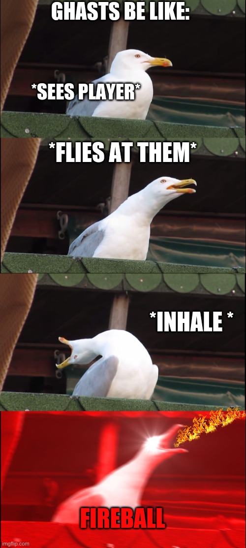 Ghasts Be like: | GHASTS BE LIKE:; *SEES PLAYER*; *FLIES AT THEM*; *INHALE *; FIREBALL | image tagged in memes,inhaling seagull | made w/ Imgflip meme maker