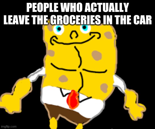 PEOPLE WHO ACTUALLY LEAVE THE GROCERIES IN THE CAR | made w/ Imgflip meme maker