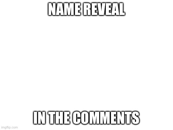 Blank White Template | NAME REVEAL; IN THE COMMENTS | image tagged in blank white template | made w/ Imgflip meme maker