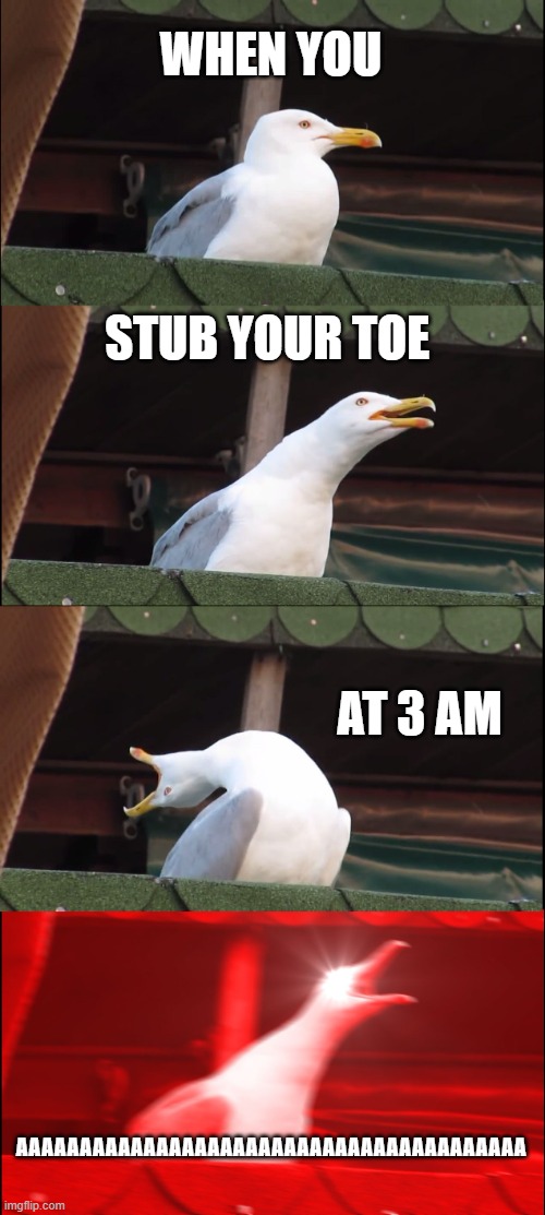 Inhaling Seagull Meme | WHEN YOU; STUB YOUR TOE; AT 3 AM; AAAAAAAAAAAAAAAAAAAAAAAAAAAAAAAAAAAAAAAA | image tagged in memes,inhaling seagull | made w/ Imgflip meme maker