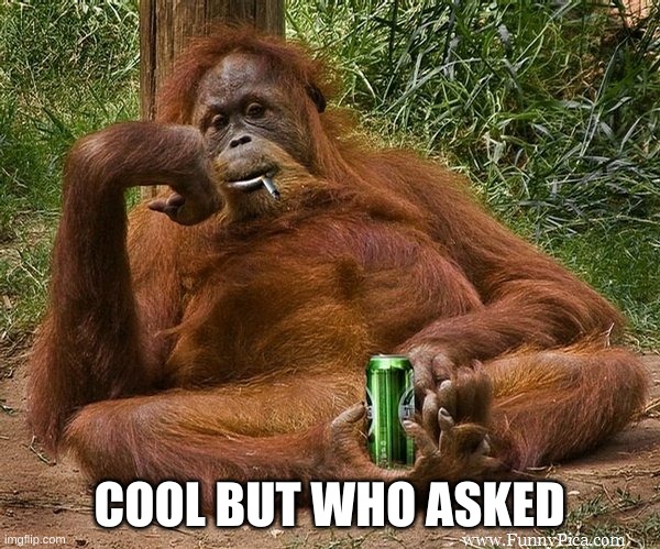 who asked | COOL BUT WHO ASKED | image tagged in who asked | made w/ Imgflip meme maker