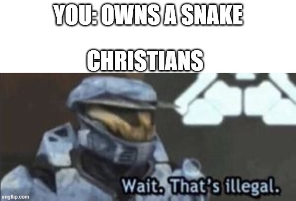 Jesus | YOU: OWNS A SNAKE; CHRISTIANS | image tagged in wait that's illegal | made w/ Imgflip meme maker