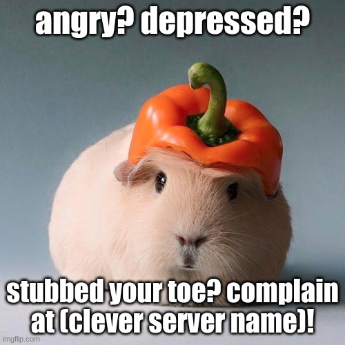 sometimes its the little things that suck |  angry? depressed? stubbed your toe? complain at (clever server name)! | image tagged in guinea pig with vegetable,guinea pig | made w/ Imgflip meme maker