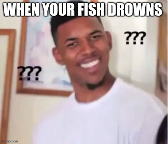 Nick Young | WHEN YOUR FISH DROWNS | image tagged in nick young | made w/ Imgflip meme maker
