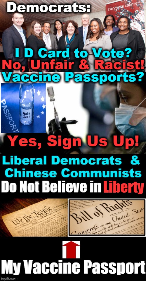 Vaccine Passports ~~ What Could Go Wrong? | Democrats:; I D Card to Vote? No, Unfair & Racist! Vaccine Passports? Yes, Sign Us Up! Liberty | image tagged in politics,democratic socialism,liberty,vaccine,passport,hipocrisy | made w/ Imgflip meme maker