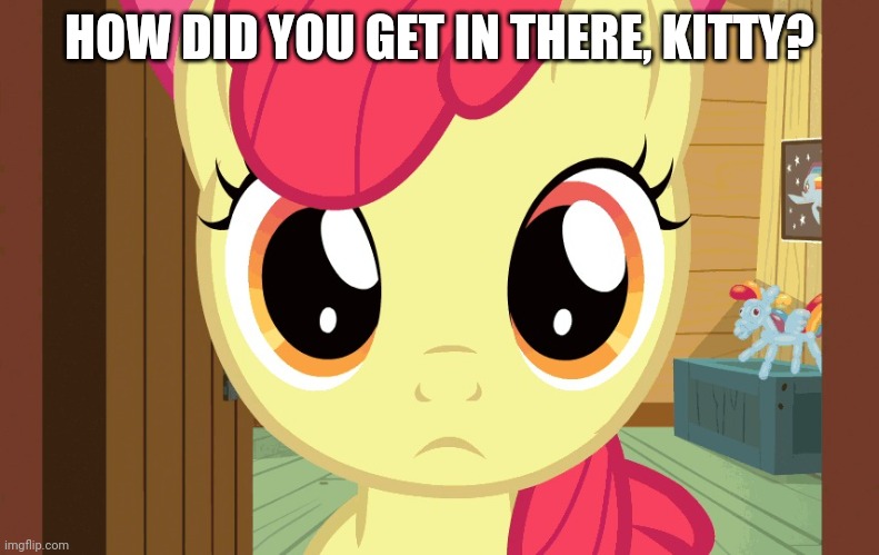 Confused Applebloom (MLP) | HOW DID YOU GET IN THERE, KITTY? | image tagged in confused applebloom mlp | made w/ Imgflip meme maker