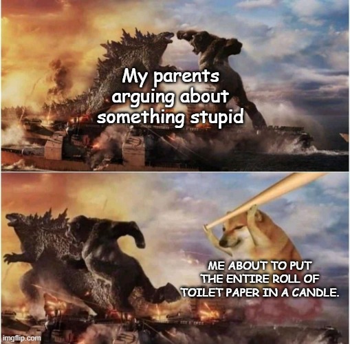 Based on a true story | My parents arguing about something stupid; ME ABOUT TO PUT THE ENTIRE ROLL OF TOILET PAPER IN A CANDLE. | image tagged in kong godzilla doge,bonk,cheems | made w/ Imgflip meme maker