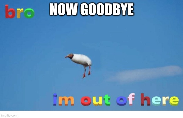 Bro I'm out of here | NOW GOODBYE | image tagged in bro i'm out of here | made w/ Imgflip meme maker