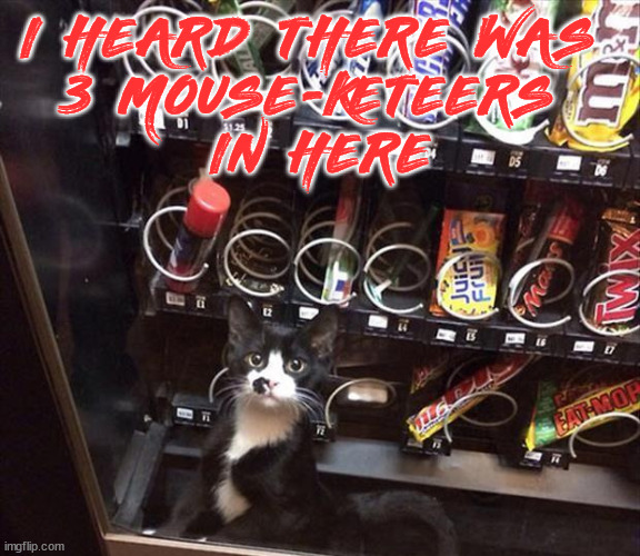 I HEARD THERE WAS 
3 MOUSE-KETEERS 
IN HERE | made w/ Imgflip meme maker