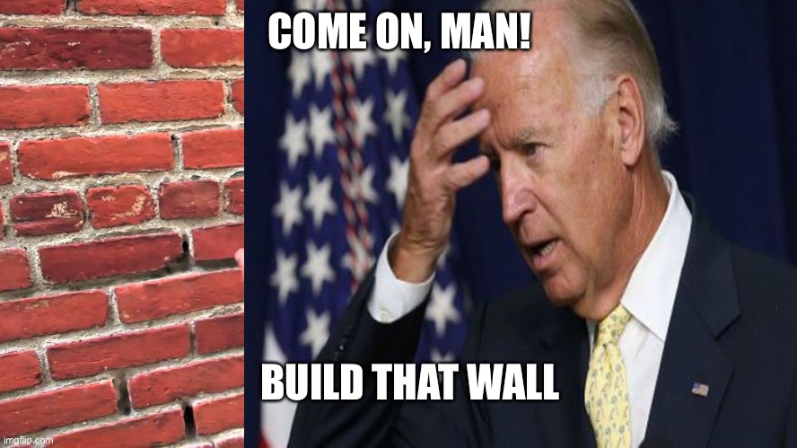 Biden’s Wall | COME ON, MAN! BUILD THAT WALL | image tagged in wall,joe biden,joe biden worries | made w/ Imgflip meme maker