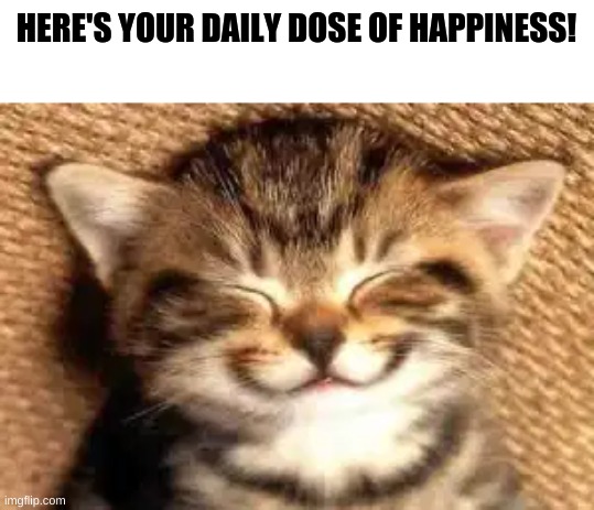 HERE'S YOUR DAILY DOSE OF HAPPINESS! | made w/ Imgflip meme maker