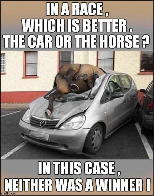 Car Vs Horse ! | WHICH IS BETTER . IN A RACE , THE CAR OR THE HORSE ? IN THIS CASE , NEITHER WAS A WINNER ! | image tagged in car accident,horse,dark humour | made w/ Imgflip meme maker