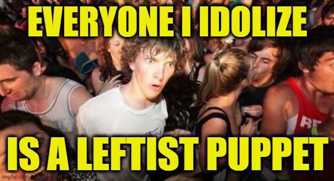 Sudden Clarity Voter ID | EVERYONE I IDOLIZE; IS A LEFTIST PUPPET | image tagged in memes,sudden clarity clarence | made w/ Imgflip meme maker