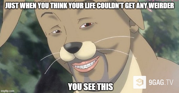 Weird anime hentai furry | JUST WHEN YOU THINK YOUR LIFE COULDN'T GET ANY WEIRDER; YOU SEE THIS | image tagged in weird anime hentai furry | made w/ Imgflip meme maker