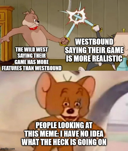 Westbound Fighting The Wild West | WESTBOUND SAYING THEIR GAME IS MORE REALISTIC; THE WILD WEST SAYING THEIR GAME HAS MORE FEATURES THAN WESTBOUND; PEOPLE LOOKING AT THIS MEME: I HAVE NO IDEA WHAT THE HECK IS GOING ON | image tagged in tom and spike fighting | made w/ Imgflip meme maker