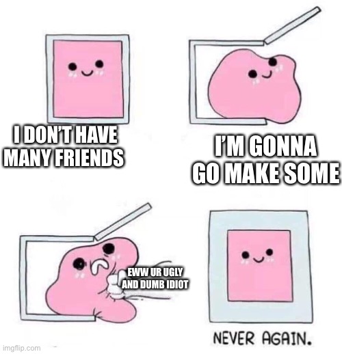 This is true | I DON’T HAVE MANY FRIENDS; I’M GONNA GO MAKE SOME; EWW UR UGLY AND DUMB IDIOT | image tagged in never again,forever alone | made w/ Imgflip meme maker
